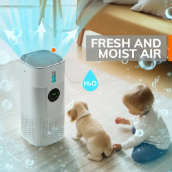 Purificateur d'air et humidificateur MIUI : respirez un air pur et sain